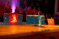 ZFV_1Sitzung_2018_0029
