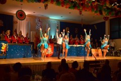 ZFV_1Sitzung_2018_0041