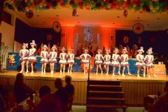 ZFV_1Sitzung_2018_0046