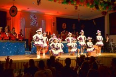 ZFV_1Sitzung_2018_0051
