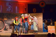 ZFV_1Sitzung_2018_0061