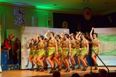 ZFV_1Sitzung_2018_0102