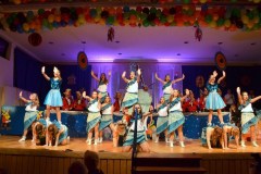 ZFV_1Sitzung_2018_0129