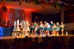ZFV_1Sitzung_2018_0133
