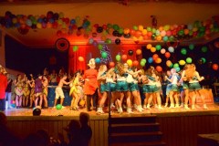 ZFV_1Sitzung_2018_0140