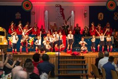 ZFV_2_Sitzung_2018_0037
