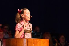 ZFV_2_Sitzung_2018_0050