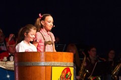 ZFV_2_Sitzung_2018_0051