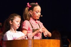 ZFV_2_Sitzung_2018_0052