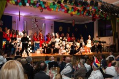 ZFV_2_Sitzung_2018_0118