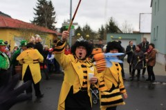 ZFV_Fasenachtszug_2018_0007