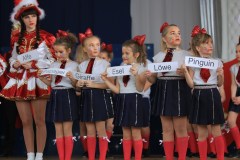 ZFV_Kindermaskenball_2018_0013