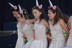 ZFV_Kindermaskenball_2018_0049