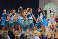 ZFV_Kindermaskenball_2018_0056