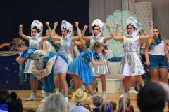ZFV_Kindermaskenball_2018_0058