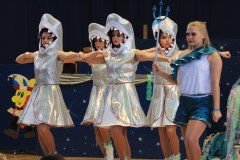 ZFV_Kindermaskenball_2018_0059