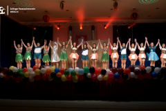 2022-02-26_ZFV-Livestream.02_47_54_00.Standbild228