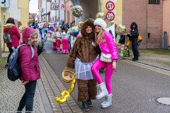 20240211_15-40-18_DSC02297