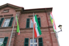 IMG_8625-Mittel