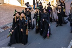 20250302_14-12-24_DSC00156-Mittel