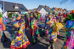 20250302_15-17-38_DSC01323-Mittel