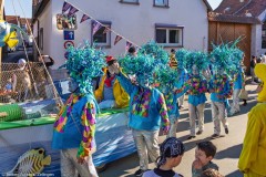 20250302_15-32-20_DSC01430-Mittel