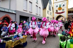 Fasenacht-2026-Zug-76